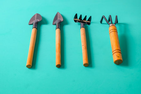 Gardening tools on a color background. Top view,の写真素材