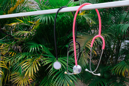 A stethoscopes hank on a clothesline in garden.の写真素材