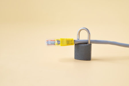 Padlock on network cables , Internet security.