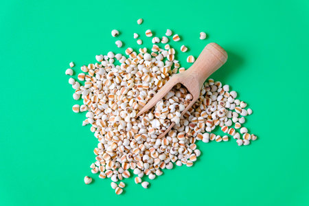 Dried Job's tears or adlay millet in wooden spoon.の写真素材