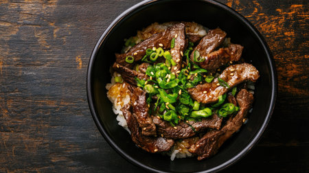 Top view of a Japanese donburi bowl with beef and green onions. Room for text.の素材