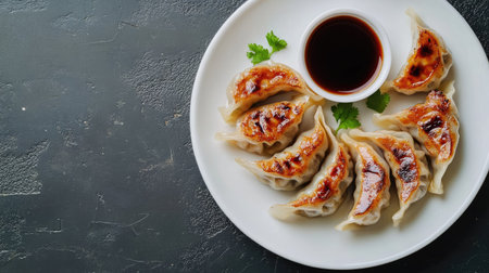 Top view of a plate of Japanese gyoza dumplings with soy sauce. Room for text.の素材