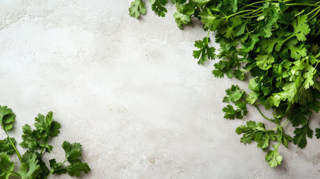 Fresh parsley and cilantro leaves scattered on a light surface with ample space around for copy.の素材
