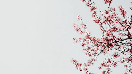 A top view of a flowering tree with pink blossoms against a clear sky. Ample space for text above.の素材