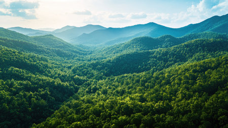 Aerial perspective of a mountain range with a dense forest, clear sky area for textの素材