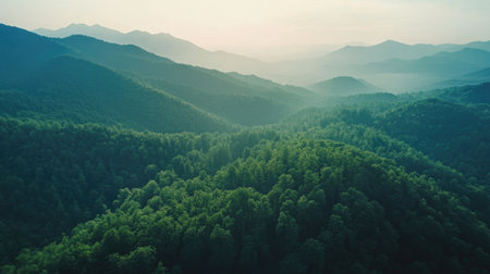 Aerial perspective of a mountain range with a dense forest, clear sky area for textの素材