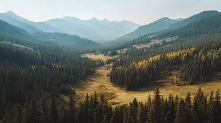 Overhead shot of a mountain pass surrounded by forests, with clear sky for adding copyの素材