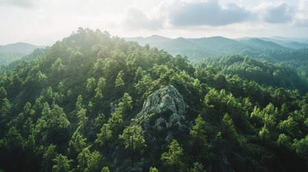 High-angle view of a forested mountain with a large sky area, ideal for adding a headlineの素材