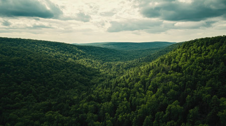 High-angle view of a forested mountain with a large sky area, ideal for adding a headlineの素材