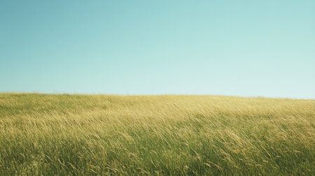 Wind-swept, grassy field under a clear sky, with ample room for text or brandingの素材
