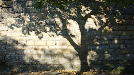 A large tree's shadow spread across a stone wall, with generous copy space for textの素材