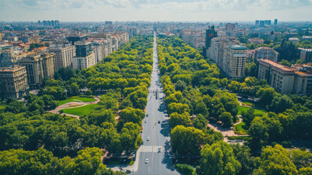Aerial view of an urban landscape with wide avenues and parks, with plenty of space for copy in the greenery.の素材