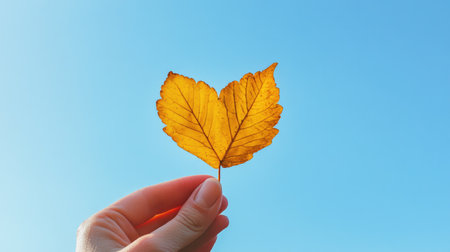 A hand holding a heart-shaped leaf against a clear blue sky, with ample text space. No people.の素材