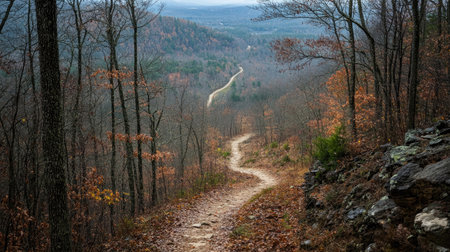 Top view of the Appalachian Trail winding through a forest with room for textの素材