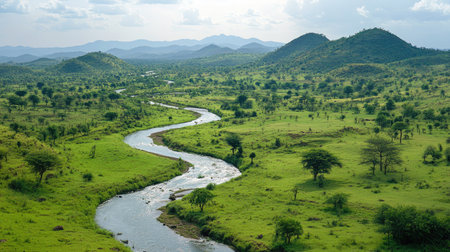 Top view of an African river cutting through a lush green landscape, with space for copyの素材