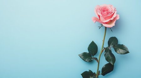 A stunning pink rose with lush green leaves set against a soft blue background, ideal for projects related to love, beauty, and nature-themed designs.の素材