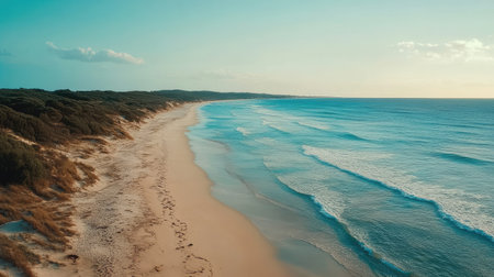 A breathtaking aerial view of a serene beach showcasing gentle waves lapping against the soft sand, framed by lush greenery under a beautiful blue sky. Perfect for nature lovers.の素材