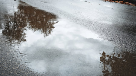A serene reflection of trees and clouds captured in a puddle on a wet asphalt surface. The tranquil scene showcases nature's beauty after the rain.の素材