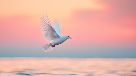 A graceful white bird soaring through the colorful sky during sunset, capturing a moment of tranquility and freedom, perfect for nature-themed projects.の素材