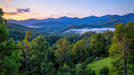 Discover a breathtaking mountain landscape featuring lush greenery, misty valleys, and a stunning sunrise. Perfect for nature lovers and outdoor enthusiasts.の素材