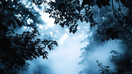 Experience the serene beauty of an enchanting forest shrouded in blue fog. Lush green leaves frame a mysterious path, inviting exploration and tranquility.の素材