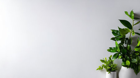 A minimalist composition featuring vibrant green plants in elegant white pots, showcasing nature's beauty against a simple neutral wall background for a refreshing ambiance.の素材