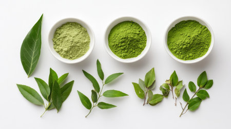 Arranged composition showcases vibrant green powders in bowls along with a variety of fresh leaves, emphasizing nature's diversity in healthy and flavorful cooking.の素材