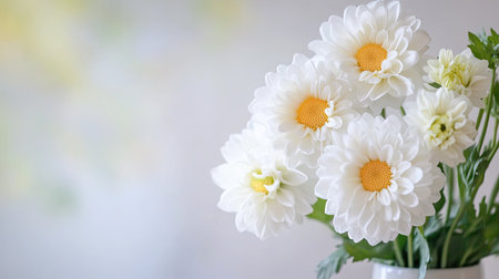 A beautiful arrangement of elegant white flowers with yellow centers against a softly blurred background, perfect for brightening any indoor space.の素材