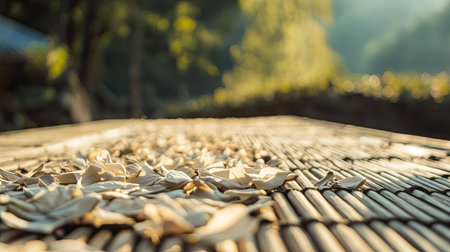 Captivating image of dried leaves scattered on a wooden surface bathed in soft sunlight, creating a tranquil and serene atmosphere in nature.の素材
