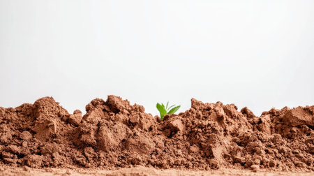 A fresh green seedling rises from rich brown soil, symbolizing new beginnings and the cycles of life in nature. Perfect for themes of growth and sustainability.の素材