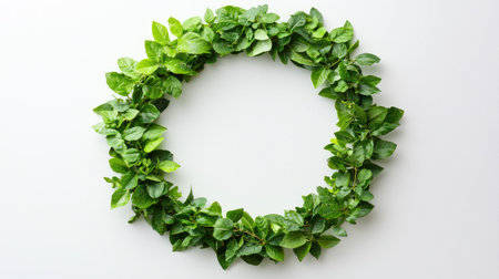 Beautiful green leaf wreath arranged in a circular shape on a white background. Perfect for home decor projects, nature themes, or artistic designs.の素材