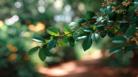 This close-up image captures a vibrant branch of lush green leaves set against a soft, blurred background. Perfect for nature-themed projects.の素材