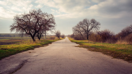 A peaceful country road stretches into the distance, surrounded by leafless trees under a cloudy sky. This serene landscape evokes a sense of calm and solitude.の素材