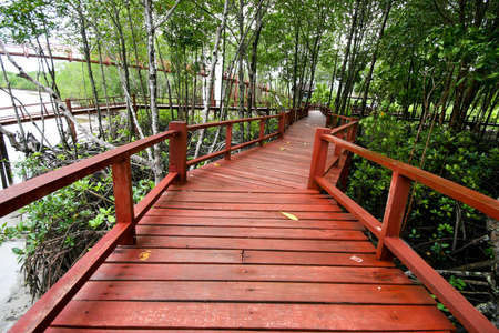 wood bridge ,thailandの写真素材
