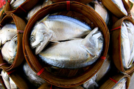 Fresh tuna in marketの写真素材