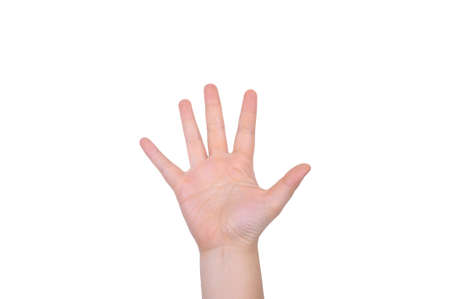 Woman hand   Isolated on white background 