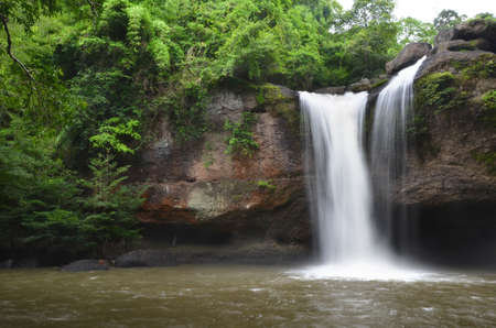 Deep Forest Waterfall の写真素材