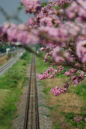 railway station 