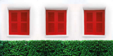 Decorative vintage window with colorful flowers の写真素材