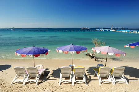 beach chairs on the beach の写真素材