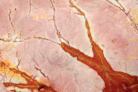 marble texture roseの写真素材