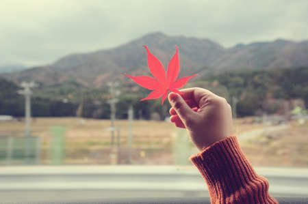 Hand holding a maple leaf in vintage style