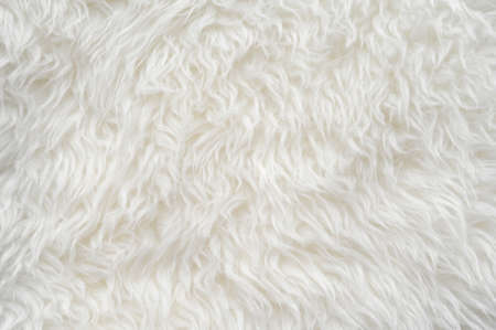 Luxurious wool texture from a  sheepskin rugの写真素材