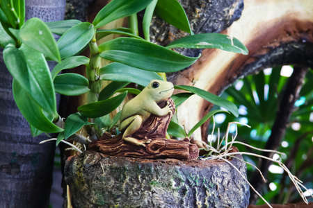 Frog statue in gardenの写真素材