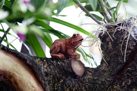 Frog statue in garden