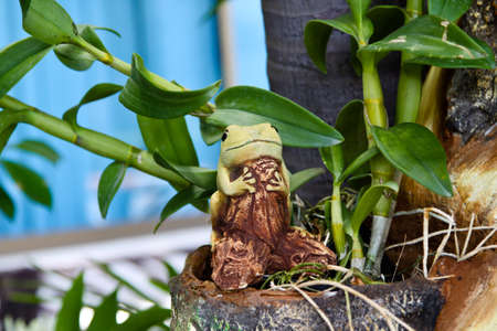 Frog statue in gardenの写真素材