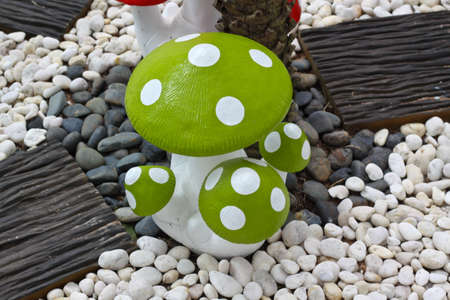 green mushrooms, fly araricの写真素材