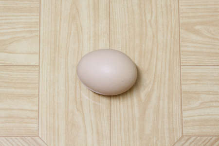 brown chicken eggの写真素材