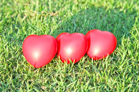 Red heart on green grass backgroundの写真素材