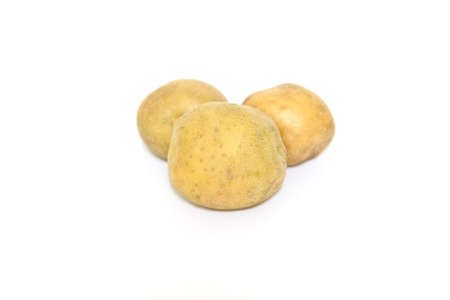 Raw Potato on white backgroundの写真素材